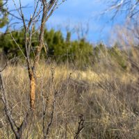 McFarland Ranch images 4
