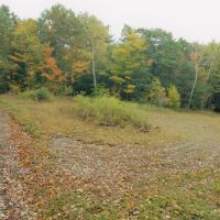 141 acres Hunting Land and Recreational Land in Prattsburgh NY images 4