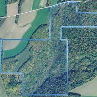 141 acres Hunting Land and Recreational Land in Prattsburgh NY images 2