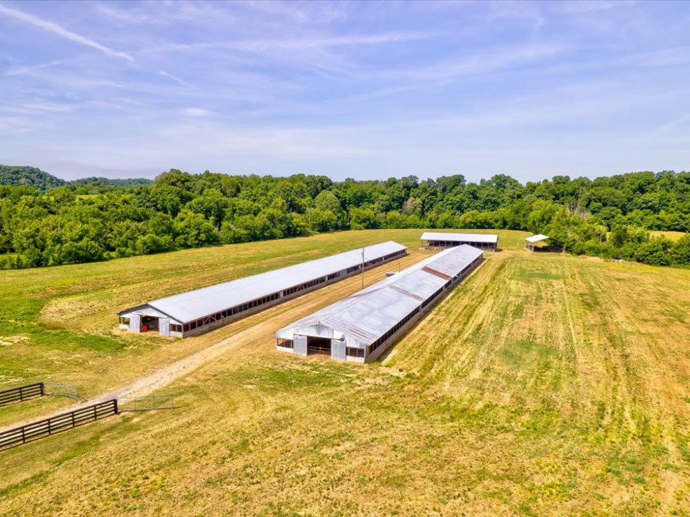 63 Unrestricted Acres on a Creek with 2 Homes featured image