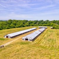 63 Unrestricted Acres on a Creek with 2 Homes