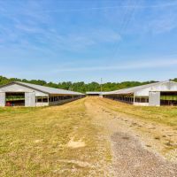 63 Unrestricted Acres on a Creek with 2 Homes images 3