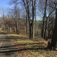 81 acres Hunting Land and Timberland in Mount Vision NY near Cooperstown images 4