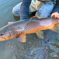 Rio Grande del Norte Ranch
