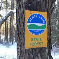 38 acres Hunting Land in Ward NY Waugh Brook Road images 2