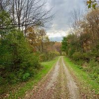 35 acres Off-Grid Cabin in Fort Ann NY images 4