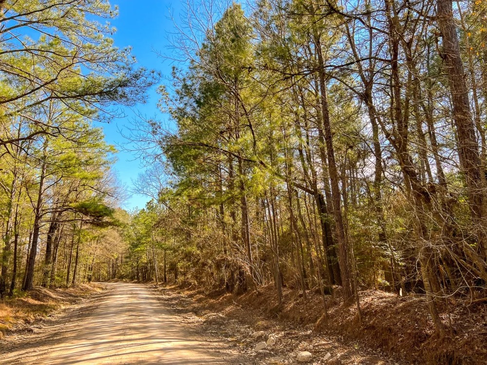 27 Acres Paces Creek T3077-13 featured image