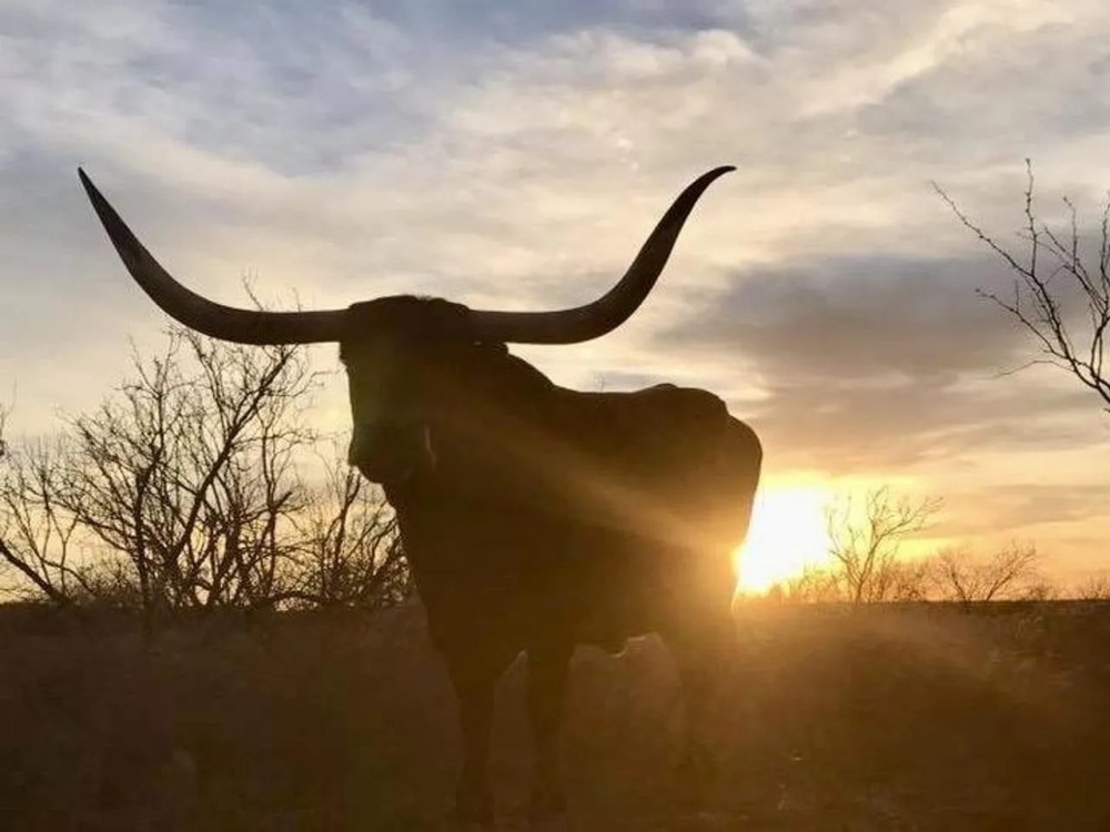 Chalker Ranch featured image