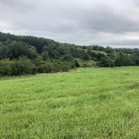 Albia Buck Farm-142 acres m l Monroe Co. IA images 4