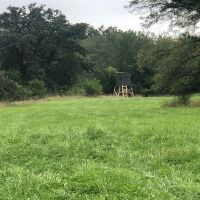 Albia Buck Farm-142 acres m l Monroe Co. IA images 3