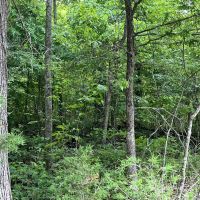 Home and Hunting