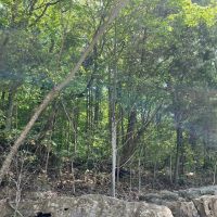 Home and Hunting images 3