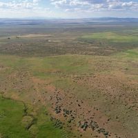 North Starr Ranch images 2