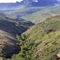 North Starr Ranch images 3
