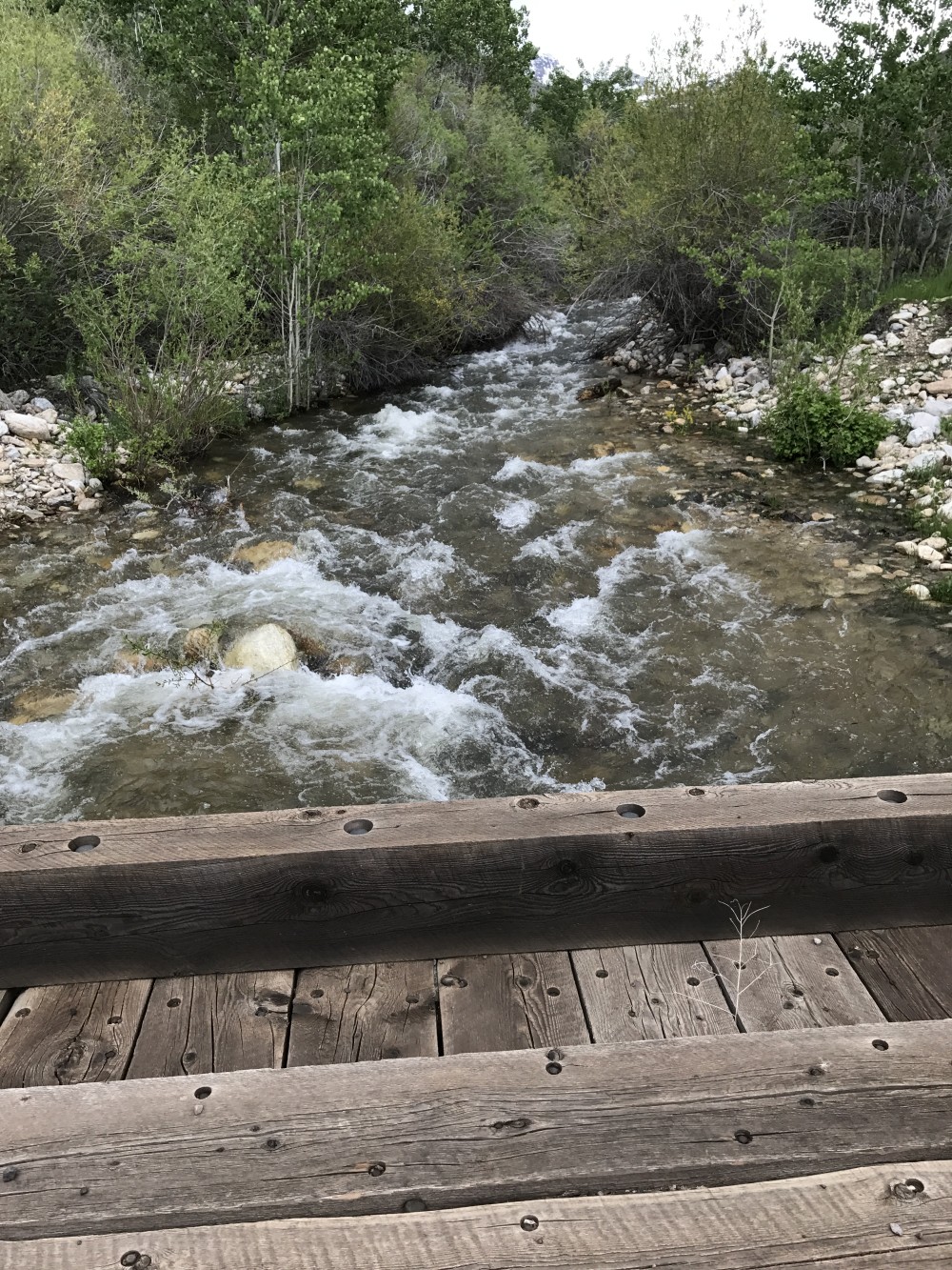 North Starr Ranch featured image
