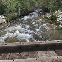 North Starr Ranch