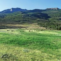 North Starr Ranch images 4