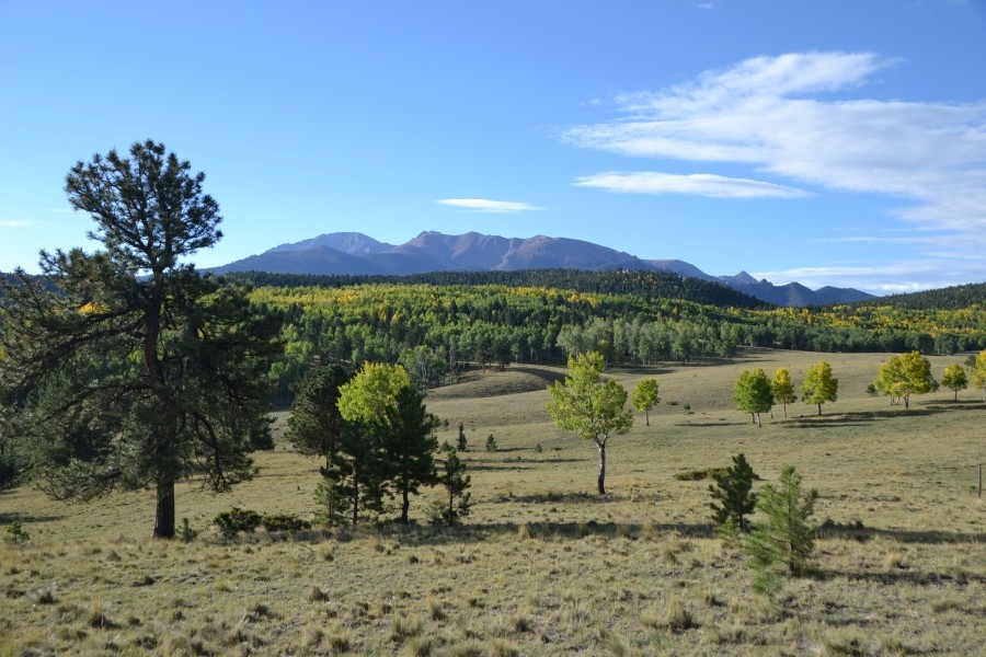Broken Wagon Ranch featured image
