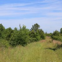 Nice Secluded Hunting Tract or Weekend Getaway images 4