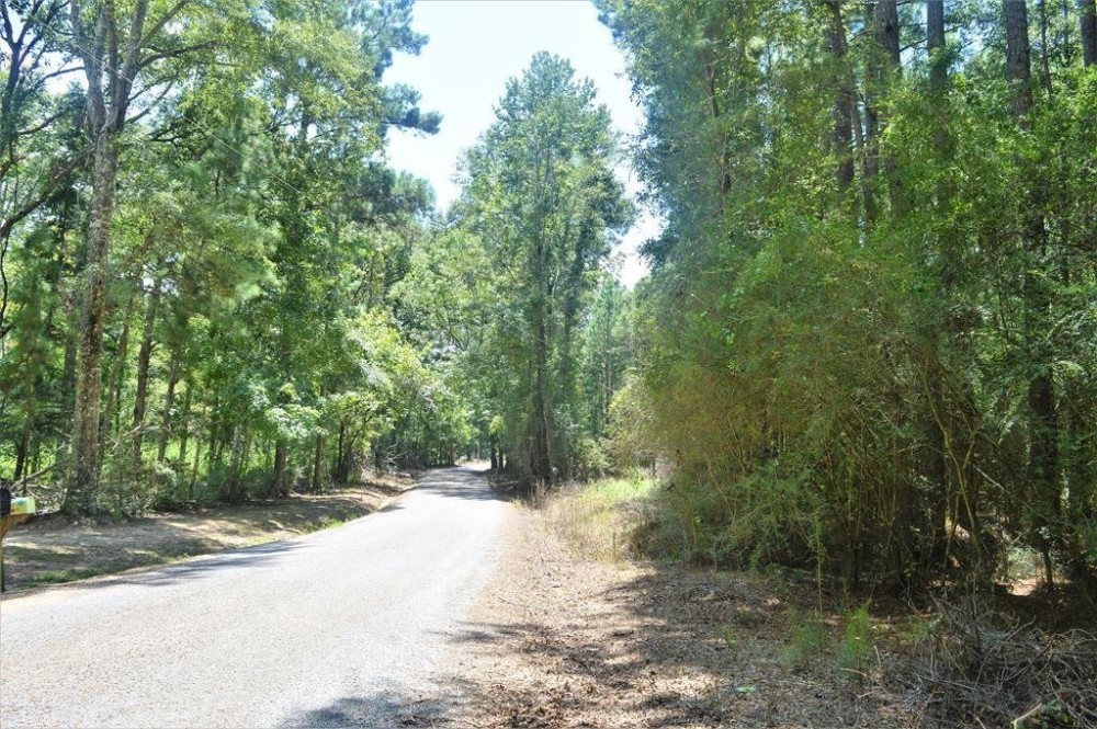 7.7 Acres of Land For Sale in Amite County MS featured image