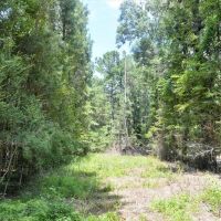7.7 Acres of Land For Sale in Amite County MS images 2