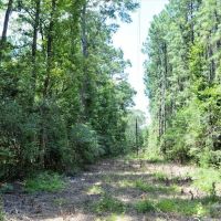 7.7 Acres of Land For Sale in Amite County MS images 3