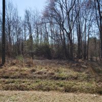 Versatile Tract Near Lake Gaston images 3
