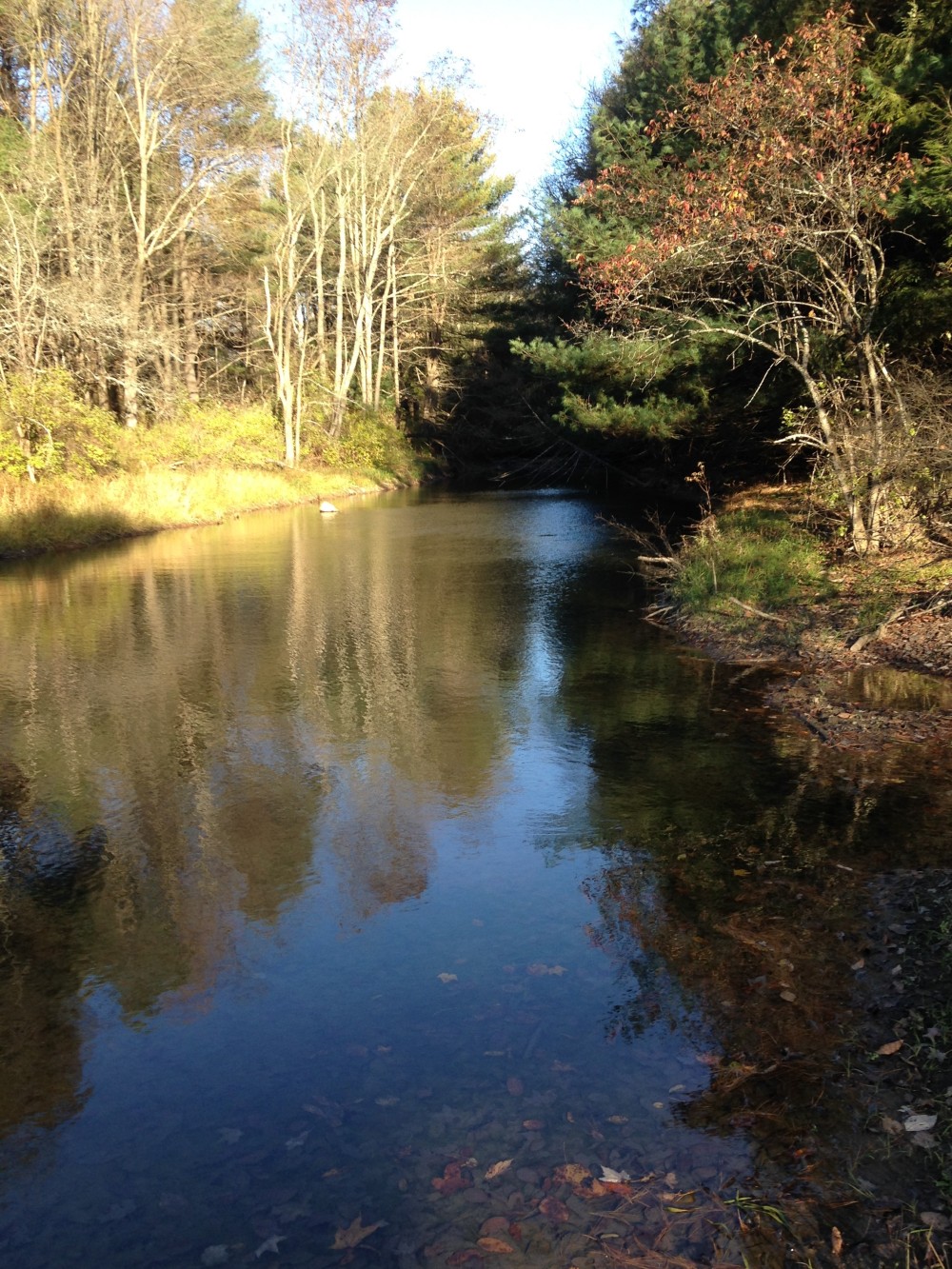 50 acres Farmland with Woods and Stream in Greene NY County Road 9 featured image