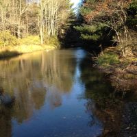 50 acres Farmland with Woods and Stream in Greene NY County Road 9