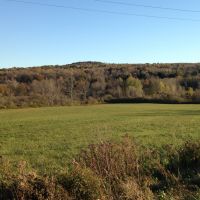 50 acres Farmland with Woods and Stream in Greene NY County Road 9 images 2