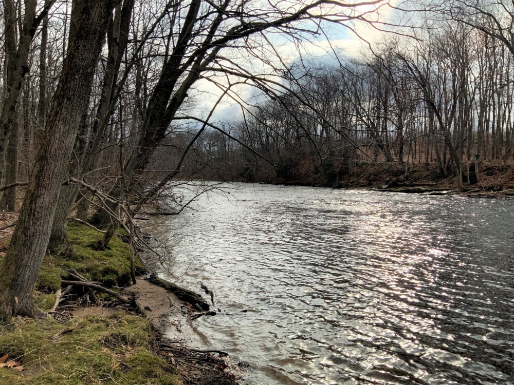 77 acres along Salmon River Pulaski NY featured image
