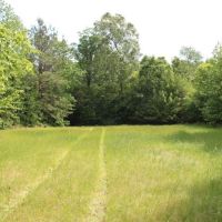 Hardwood Tract Creek Fishing Hunting images 2
