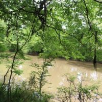 Hardwood Tract Creek Fishing Hunting