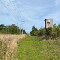 186.5 Acre Hunting Land for Sale Amite County MS