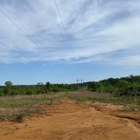 186.5 Acre Hunting Land for Sale Amite County MS images 2