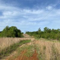 186.5 Acre Hunting Land for Sale Amite County MS images 3