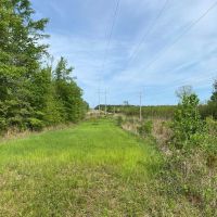 186.5 Acre Hunting Land for Sale Amite County MS images 4