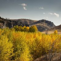 Four Creeks Sporting Ranch images 3
