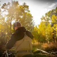 Four Creeks Sporting Ranch images 4