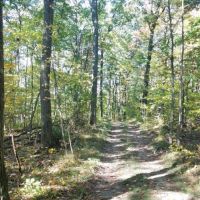57 acres Timberland in Corning NY West Road