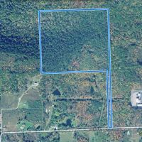 57 acres Timberland in Corning NY West Road images 3