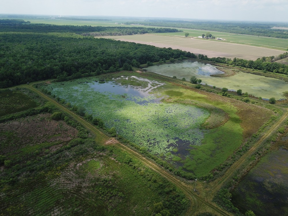 LA - Catahoula 150 acres - featured image