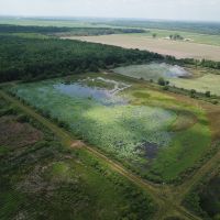 LA - Catahoula 150 acres -