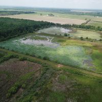 LA - Catahoula 150 acres - images 2