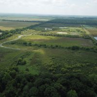 LA - Catahoula 150 acres - images 4
