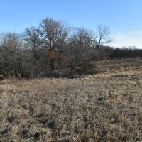 110 acres m l Appanoose Co. IA images 4