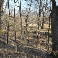 110 acres m l Appanoose Co. IA images 2