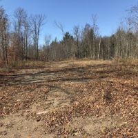 102 acres Timberland and Hunting Land in Fine NY Ridge Road images 2