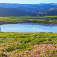 Income Producing Luxury Log Home For Sale in Colorado images 2