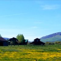 Income Producing Luxury Log Home For Sale in Colorado images 3